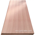 Papan lapis sapeli